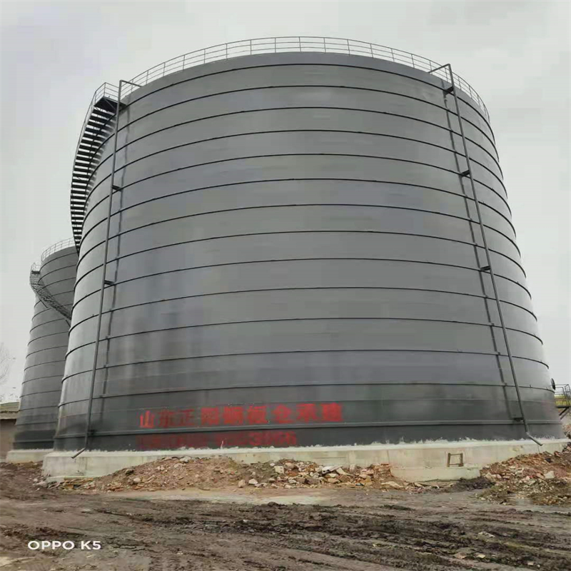 大姚3万吨大型钢板库